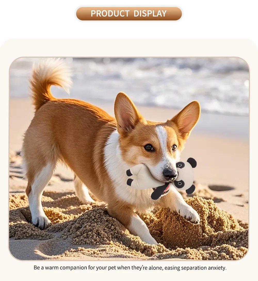 Pet Plush Toy Series Lifelike and Adorable, Bringing Endless Joyful Moments Bear, Raccoon, panda (8)